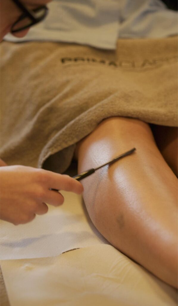 Primaclasse beauty 12